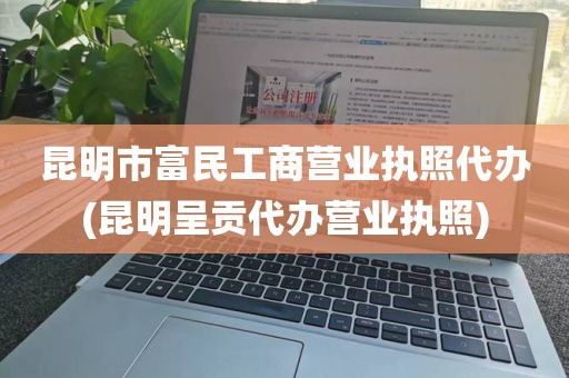 昆明市富民工商营业执照代办(昆明呈贡代办营业执照)