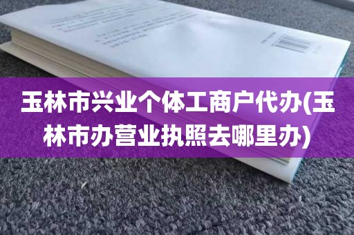 玉林市兴业个体工商户代办(玉林市办营业执照去哪里办)