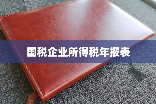 国税企业所得税年报表