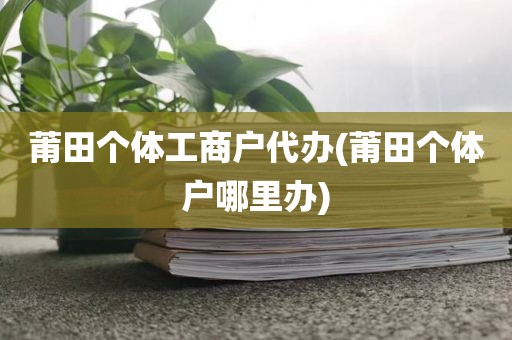 莆田个体工商户代办(莆田个体户哪里办)