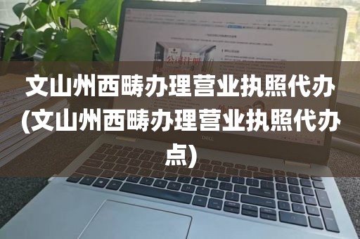 文山州西畴办理营业执照代办(文山州西畴办理营业执照代办点)