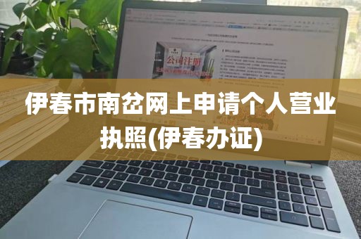 伊春市南岔网上申请个人营业执照(伊春办证)