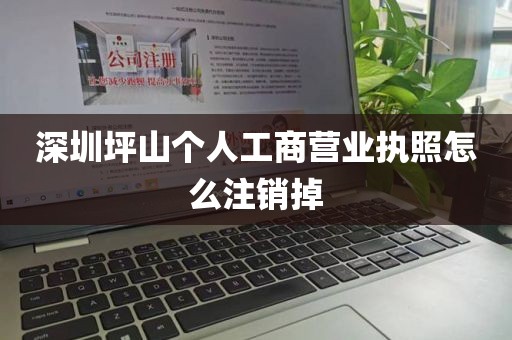 深圳坪山个人工商营业执照怎么注销掉