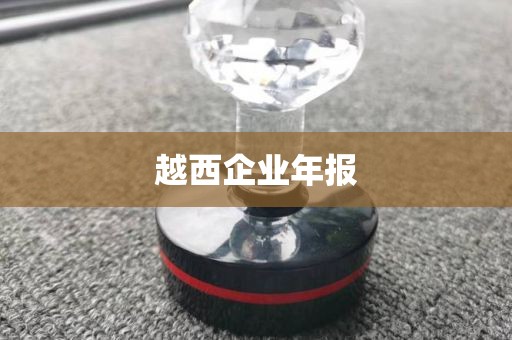 越西企业年报