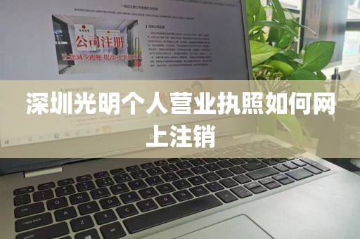 深圳光明个人营业执照如何网上注销