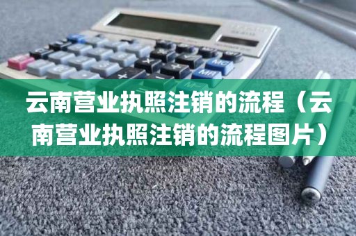 云南营业执照注销的流程（云南营业执照注销的流程图片）