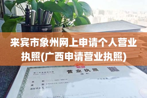来宾市象州网上申请个人营业执照(广西申请营业执照)