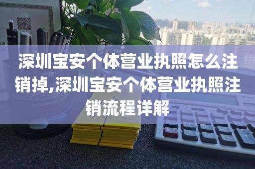 深圳宝安个体营业执照怎么注销掉,深圳宝安个体营业执照注销流程详解