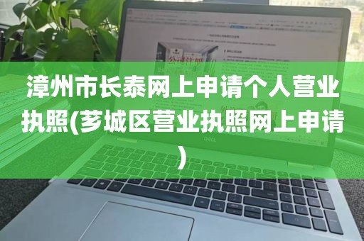 漳州市长泰网上申请个人营业执照(芗城区营业执照网上申请)