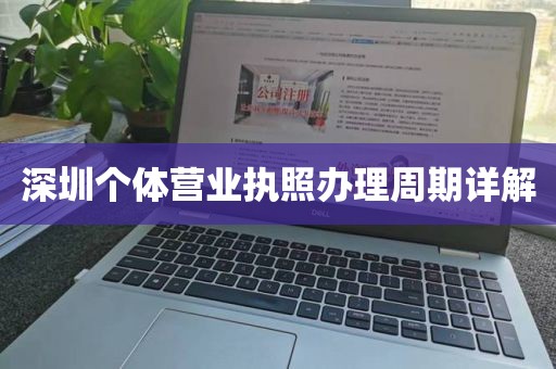 深圳个体营业执照办理周期详解