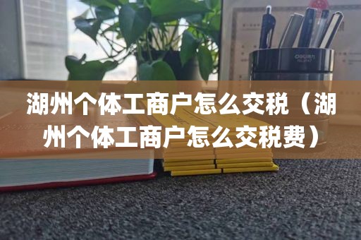 湖州个体工商户怎么交税（湖州个体工商户怎么交税费）