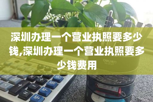深圳办理一个营业执照要多少钱,深圳办理一个营业执照要多少钱费用