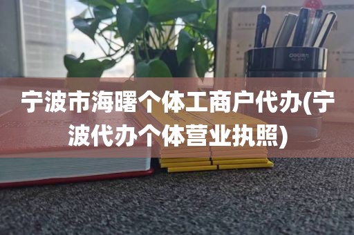 宁波市海曙个体工商户代办(宁波代办个体营业执照)