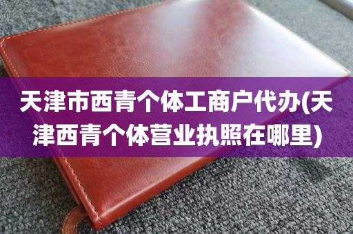 天津市西青个体工商户代办(天津西青个体营业执照在哪里)