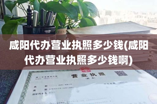 咸阳代办营业执照多少钱(咸阳代办营业执照多少钱啊)