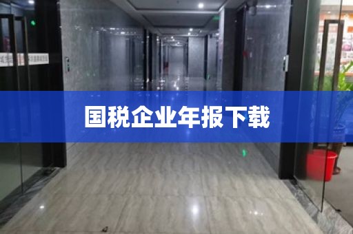 国税企业年报下载