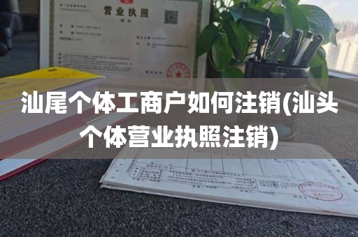 汕尾个体工商户如何注销(汕头个体营业执照注销)