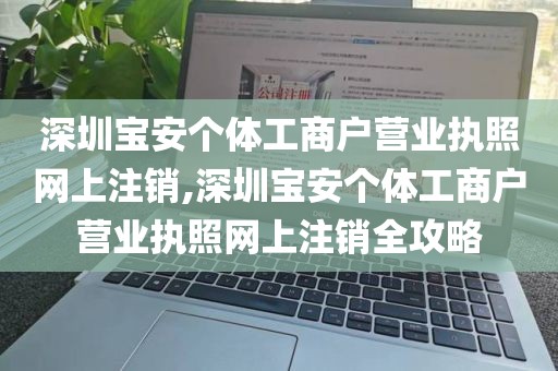 深圳宝安个体工商户营业执照网上注销,深圳宝安个体工商户营业执照网上注销全攻略
