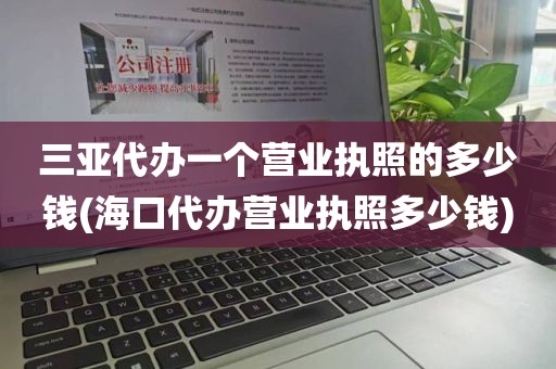 三亚代办一个营业执照的多少钱(海口代办营业执照多少钱)