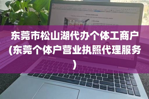 东莞市松山湖代办个体工商户(东莞个体户营业执照代理服务)