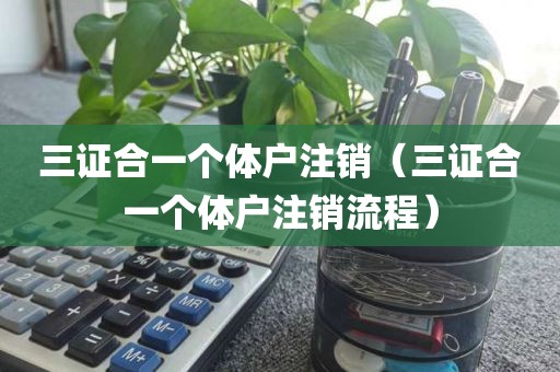 三证合一个体户注销（三证合一个体户注销流程）