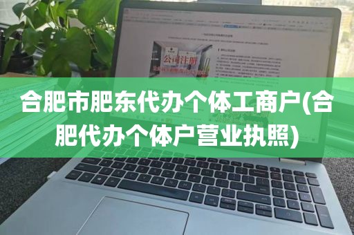 合肥市肥东代办个体工商户(合肥代办个体户营业执照)