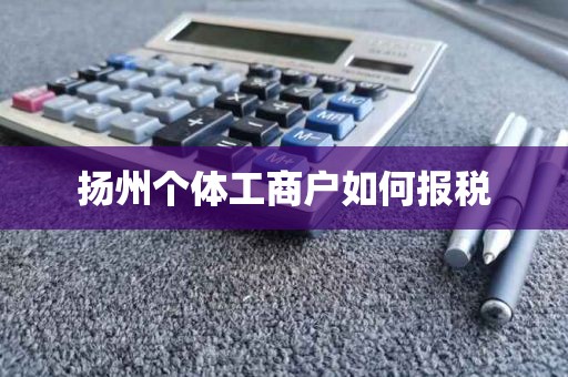 扬州个体工商户如何报税