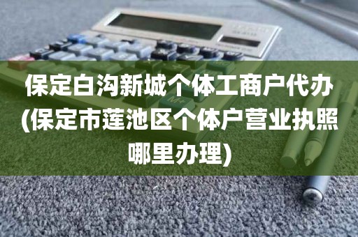 保定白沟新城个体工商户代办(保定市莲池区个体户营业执照哪里办理)