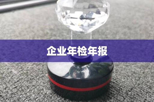 企业年检年报