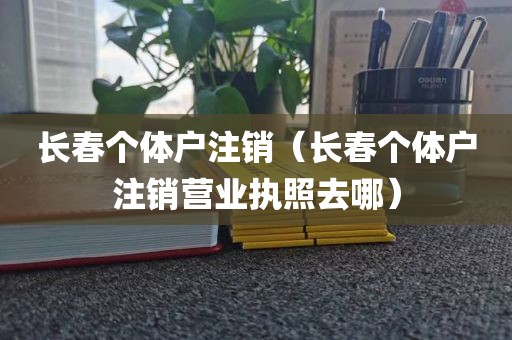 长春个体户注销（长春个体户注销营业执照去哪）