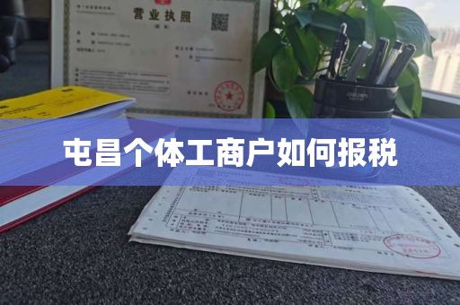 屯昌个体工商户如何报税
