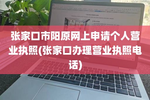 张家口市阳原网上申请个人营业执照(张家口办理营业执照电话)