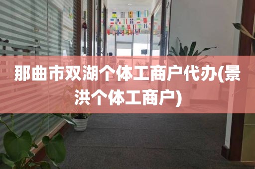 那曲市双湖个体工商户代办(景洪个体工商户)