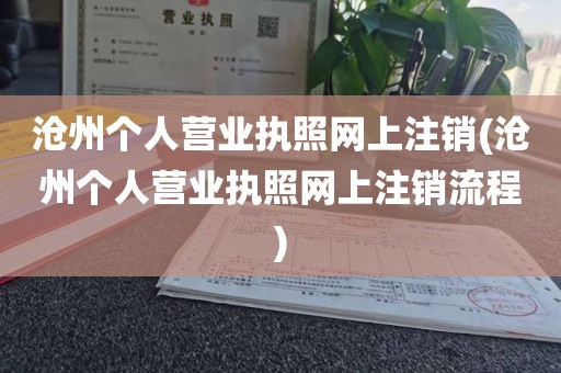 沧州个人营业执照网上注销(沧州个人营业执照网上注销流程)