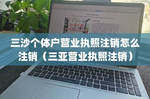 三沙个体户营业执照注销怎么注销（三亚营业执照注销）