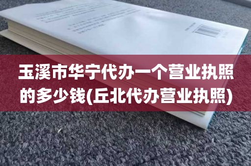 玉溪市华宁代办一个营业执照的多少钱(丘北代办营业执照)