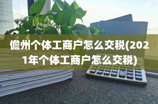 儋州个体工商户怎么交税(2021年个体工商户怎么交税)
