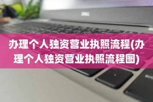 办理个人独资营业执照流程(办理个人独资营业执照流程图)