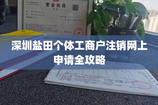 深圳盐田个体工商户注销网上申请全攻略