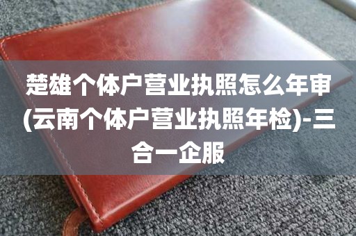 楚雄个体户营业执照怎么年审(云南个体户营业执照年检)-三合一企服