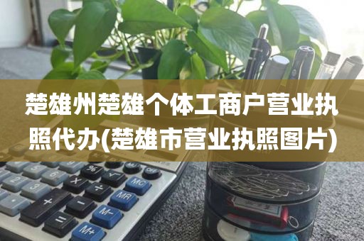 楚雄州楚雄个体工商户营业执照代办(楚雄市营业执照图片)