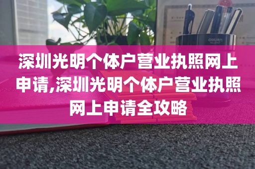 深圳光明个体户营业执照网上申请,深圳光明个体户营业执照网上申请全攻略