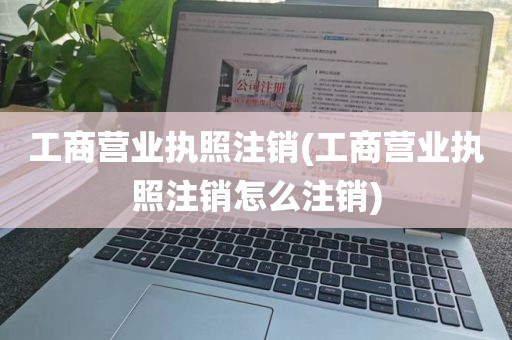 工商营业执照注销(工商营业执照注销怎么注销)