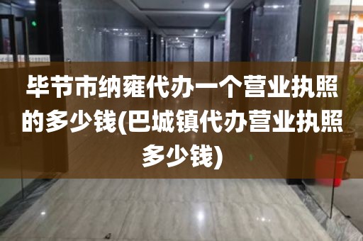 毕节市纳雍代办一个营业执照的多少钱(巴城镇代办营业执照多少钱)