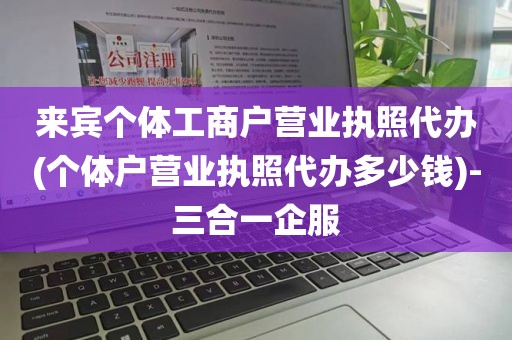 来宾个体工商户营业执照代办(个体户营业执照代办多少钱)-三合一企服