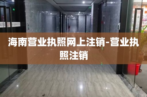 海南营业执照网上注销-营业执照注销