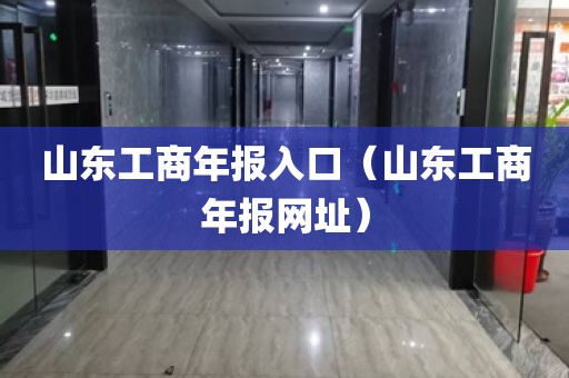 山东工商年报入口（山东工商年报网址）