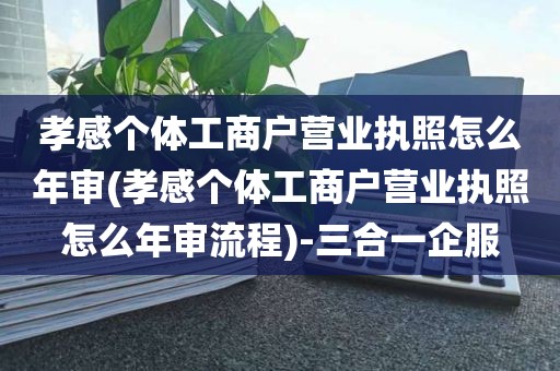 孝感个体工商户营业执照怎么年审(孝感个体工商户营业执照怎么年审流程)-三合一企服