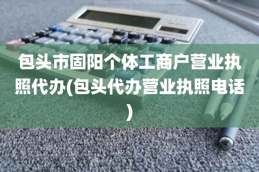 包头市固阳个体工商户营业执照代办(包头代办营业执照电话)