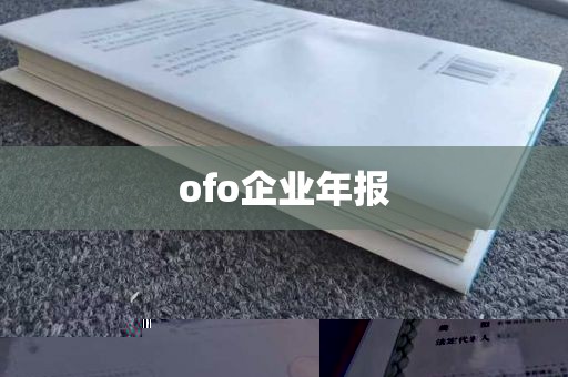 ofo企业年报
